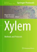 Xylem