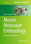 Mouse Molecular Embryology