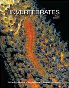 Invertebrates