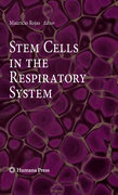 Stem cells in the respiratory system