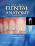 Woelfel's dental anatomy: its relevance to dentistry