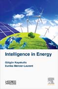 Intelligence in Energy