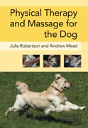 Physical therapy and massage for the dog