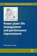 Power plant life management and performance improvement