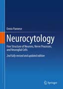 Neurocytology