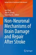 Non-Neuronal Mechanisms of Brain Damage and Repair After Stroke