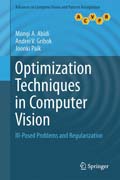 Optimization Techniques in Computer Vision