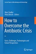 How to Overcome the Antibiotic Crisis