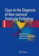 Clues in the diagnosis of non-tumoral testicular pathology