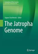 The Jatropha Genome