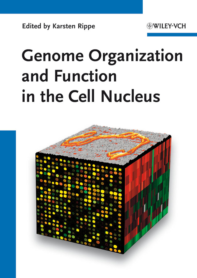 Genome organization and function in the cell nucleus