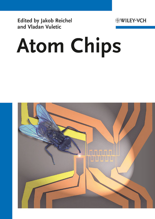 Atom chips