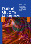 Pearls on glaucoma management