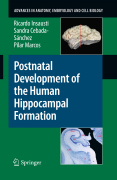 Postnatal development of the human hippocampal formation