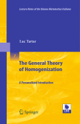 The general theory of homogenization: a personalized introduction