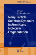 Many-particle quantum dynamics in atomic and molecular fragmentation