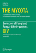 Evolution of fungi and fungal-like organisms