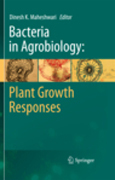 Bacteria in agrobiology: plant growth responses