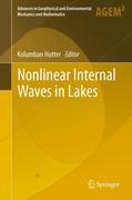 Nonlinear internal waves in lakes