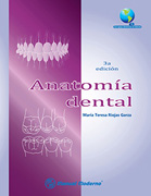 Anatomía dental