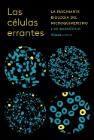 Las células errantes: La fascinante bología del microquimerismo