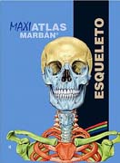 Maxi Atlas 4 Esqueleto