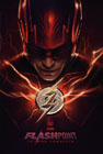 Flashpoint - La saga completa