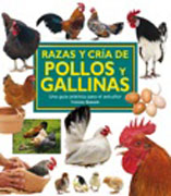 Razas y crías de pollos