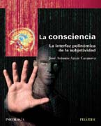 La consciencia: La interfaz polinómica de la subjetividad