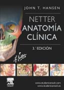 Netter, anatomía clínica