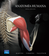 Anatomía humana