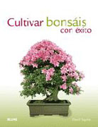 Cultivar bonsáis con éxito