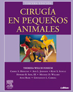 Cirugía en pequeños animales