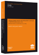 Violaciones graves de derechos humanos y responsabilidad civil: transnational human rights claims