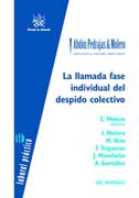 La Llamada Fase Individual del Despido Colectivo