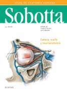 Sobotta. Atlas de anatomía humana 3 Cabeza, cuello y neuroanatomía