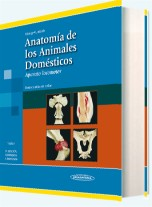 Anatomía de los animales domésticos t. 1 Aparato locomotor