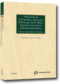 Adquisición de la propiedad y aplicación del principio de fe pública registral en las ventas judiciales inmobiliarias