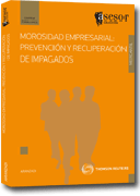 Morosidad empresarial: prevención y recuperación de impagados