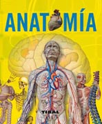 Anatomía