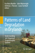 Patterns of Land Degradation in Drylands: Understanding Self-Organised Ecogeomorphic Systems